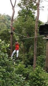 Video i 4k och hd för alla nle omedelbart. Zipline Picture Of Skytrex Adventure Shah Alam Tripadvisor