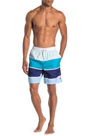 Dusk Swim Trunks