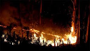 Vê num mapa o estado dos incêndios florestais em portugal. Alto Minho Seis Incendios Ativos Valenca E O Que Mais Meios Esta A Mobilizar