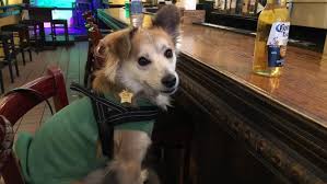 I've been wanting to get this for him for a long time but i did not know how the. Paint Your Life Review Is This Online Portrait Service Worth The Money Reviewed