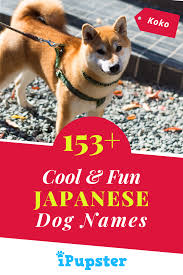 When you find ones that you want to save to view later, you can add it to your very own favorites list. 153 Cool Japanese Dog Names Meanings Dog Names Japanese Dogs Cute Puppy Names