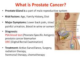 Dull, deep pain or stiffness in your pelvis, lower back, ribs, or upper thighs; Prostate Cancer Early Detection Monitoring And Prognosis Essex Biomedical Sciences Institute Ebsi Elena Klenova University Of Essex The Search For Ppt Download