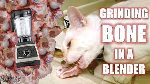 How To Grind Bones At Home For Homemade Raw Cat Food Cat Lady Fitness Youtube