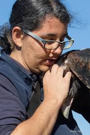 Watercolor Artwork of Eagle Inspired by Dave Hepner's Photograph