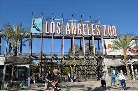 Go Wild An Insider S Guide To The La Zoo Los Angeles Zoo La Trip Fun Places To Go