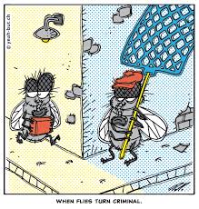 Cartoons Made My Day 49 Cartoon Fun Comic Flies Crime Zeichentrickfilme Fliegenklatsche Comic