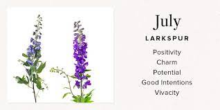 We did not find results for: Your Birth Month Flower And What It Means Bouqs Blog