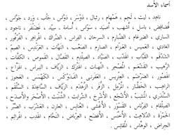 أسماء الأسد في اللغة العربية