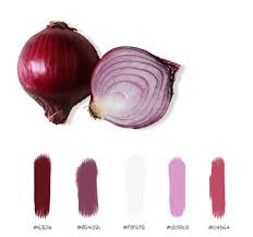 Red Onion Color Palette Color Chip Color Palette Color