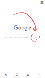 I practiced herbal medicine for many years under my acupuncture license in several states, but it's been a long time since i identified and collected plants in the wild. Google Is The Best Plant Id App And It Will Only Get Better Jack Wallington Garden Design Ltd