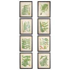 Today we have a splendid collection of 4 fern pictures! Set Of 8 Black Framed Fern Prints Oka