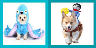 If these scary dog names are not tough enough, get our list of 150+ tough guard dog names. 69 Dog Halloween Costumes Cute Ideas For Pet Costumes