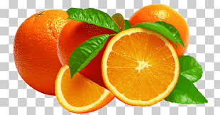 A clementine (citrus × clementina) is a tangor, a citrus fruit hybrid between a willowleaf mandarin orange (c. Ø§Ù„Ù…Ø§Ù†Ø¯Ø±ÙŠÙ† Ø¨Ø±ØªÙ‚Ø§Ù„ Png