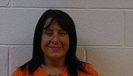 POLK SO MEDIA ARREST SUMMARY