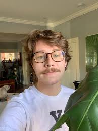 Roommate wanted near UW Tacoma