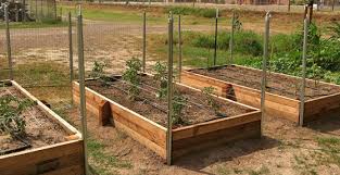 Check out the link to find out how it's done. How To Build A Raised Garden Bed Grow Your Own Vegetables