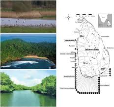 Estuaries An Overview Sciencedirect Topics