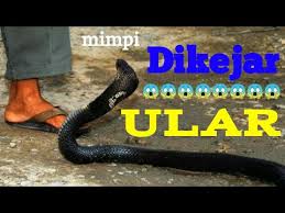 Ular khalid basalamah, mimpi ular kecil menurut islam, mimpi ular kobra hitam, mimpi ular dalam islam, mimpi ular didalam rumah, mimpi ular dibunuh, mimpi ular diatas kepala, mimpi ular dalam air, mimpi ular di siang hari, mimpi ular dan buaya, mimpi ular depan rumah, mimpi digigit ular. 9 Tafsir Mimpi Dikejar Ular Youtube