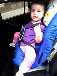 Hippo Spica Cast Car Seat