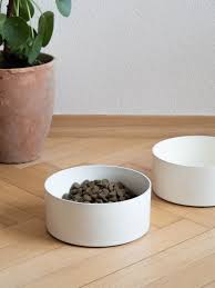 Mute Dogs Accessories Clothing Dogfoodtruckchicago Dogcollardiy Ceramic Dog Bowl Dog Bowls Cute Dog Bowls