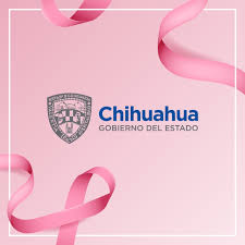 Gobierno Del Estado De Chihuahua Envivo Chihuahua Informa Noticias Con Valor Conferencia Informativa Sobre Covid19 Facebook