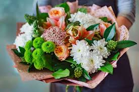 The patch plant hotel, located in battersea, is now open for bookings until 5 september 2019 and there are 100 'rooms' up for grabs to accommodate your beloved leafy plants. Hotel Offers Add Ons Seaside Sandy Beach