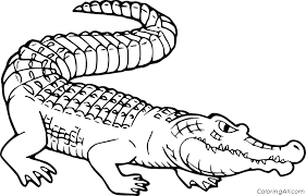 Hundreds of free spring coloring pages that will keep children busy for hours. Morelets Crocodile Coloring Page Coloringall