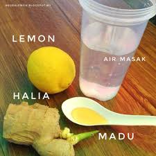 Cara buat air detox sendiri untuk kurus dan sihat. Cara Membuat Resepi Air Lemon Detox Arisa