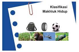 Kunci jawaban bahasa indonesia kelas 7 halaman 10 dan 11. Kunci Jawaban Ipa Smp Kelas 7 Halaman 79 Ayo Latihan Bab 2 Klasifikasi Makhluk Hidup Ringtimes Bali