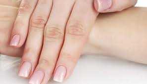 Non Dominant Hand Vital To Evolution Of Hand Morphology Science Environment News Zee News