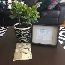 Uncommon housewarming gifts for men, based on his interests. 25 Housewarming Gifts People Will Love