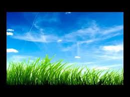  Psalm 103 Bible In Song Best Home Screen Wallpaper Blue Sky Wallpaper Grass Wallpaper