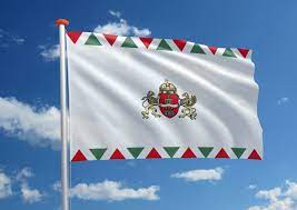 Bekijk het weer, buien radar, de satelliet, wind, weercijfers weer boedapest. Vlag Boedapest Bestel Bij De Specialist Mastenenvlaggen Nl