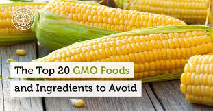 Top 20 Gmo Foods And Ingredients To Avoid