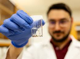 Aggie Veterinary Student Isaac Neuman Embraces Opportunities