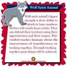 Your spirit animal offers you its characteristics, its strengths but also its weaknesses. Wolf Spirit Animal Meaning Symbolism Characteristics Of Wolf Totem