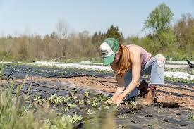 Nations Spend 600 Billion Plus Annually On Ag Subsidies Here S How That Money Could Feed A More Sustainable Future Greenbiz