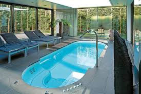 Piscine Domodeco Spa De Nage Piscine Piscine Et Jacuzzi