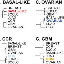 What is the craziest dream you've ever had? Pdf Erratum Genomic Analyses Across Six Cancer Types Identify Basal Like Breast Cancer As A Unique Molecular Entity