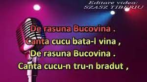 Canta cucu bata l vina. Canta Cucu Bata L Vina Versuri Youtube
