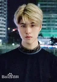 Ying Cheng-Xi (英承晞) :: Everything about cinema of Hong Kong, China and  Taiwan