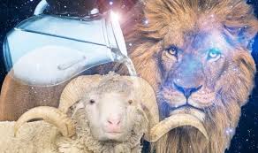 Keyboard symbols make a great choice for tattoo designs! Star Sign Symbols Meaning What Do Zodiac Symbols Represent Express Co Uk