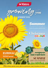 Let the myrtle beach area convention and visitors bureau be your guide as you search the area's best amusements. Yates Growing With You Australia Summer 2020 By Yates Gardening Issuu