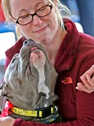 Pet Adoption Fair at Garfield Park