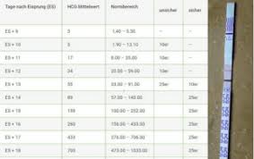 Schwanger Werden Kindeshalb Der Kinderwunsch Blog