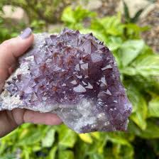 Image result for Light Amethyst 1987 GM