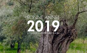 Vivez L Annee 2019 Sous Le Signe De L Olivier L Arbre De La Paix Vente Huile D Olive De France Aoc Aop Et Bio La Compagnie De L Huile D Olive
