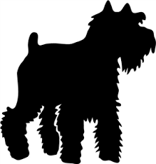 Black And White Mini Schnauzer Clipart You Are My Lucky Charm With Images Schnauzer Miniature Schnauzer Schnauzer Art