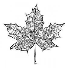 Hand Drawn Black And White Autumn Leaf Hand Drawn Black Png And Vector With Transparent Background For Free Download In 2020 How To Draw Hands Fall Drawings Fall Leaves Tattoo