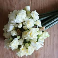 Live Friday Flowers Friday Fridayflowers Weekend Erlicheer Flores Flower Flowerstagram Flowers Lifesty Photo And Video Spring Flowers Instagram Photo